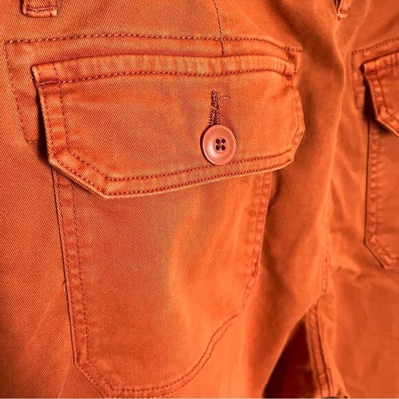 Lucky Brand Burnt Orange with Blue Side Stripe Utility Boyfriend Pants Size 6/28 - Picture 10 of 14